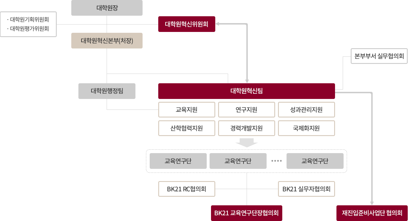 BK21사업 조직도